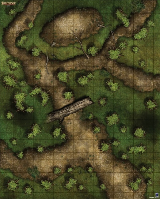 Pathfinder: Настольная ролевая игра. Игровое поле "Болото" Pathfinder: Настольная ролевая игра. Игровое поле "Болото"