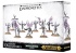 WH40k: Chaos Daemons Daemonettes of Slaanesh